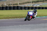 PJ-Motorsport-2019;anglesey-no-limits-trackday;anglesey-photographs;anglesey-trackday-photographs;enduro-digital-images;event-digital-images;eventdigitalimages;no-limits-trackdays;peter-wileman-photography;racing-digital-images;trac-mon;trackday-digital-images;trackday-photos;ty-croes